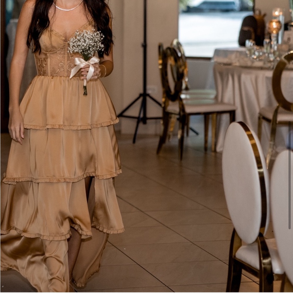 V. Chapman Desert Tan Layered Dress - Picture 5 of 12